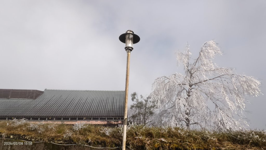 #霧淞 #雲海 #雲瀑 #霧虹 #太平山 #望洋山 #觀雲步道 #翠峰道路  2/8_2995380