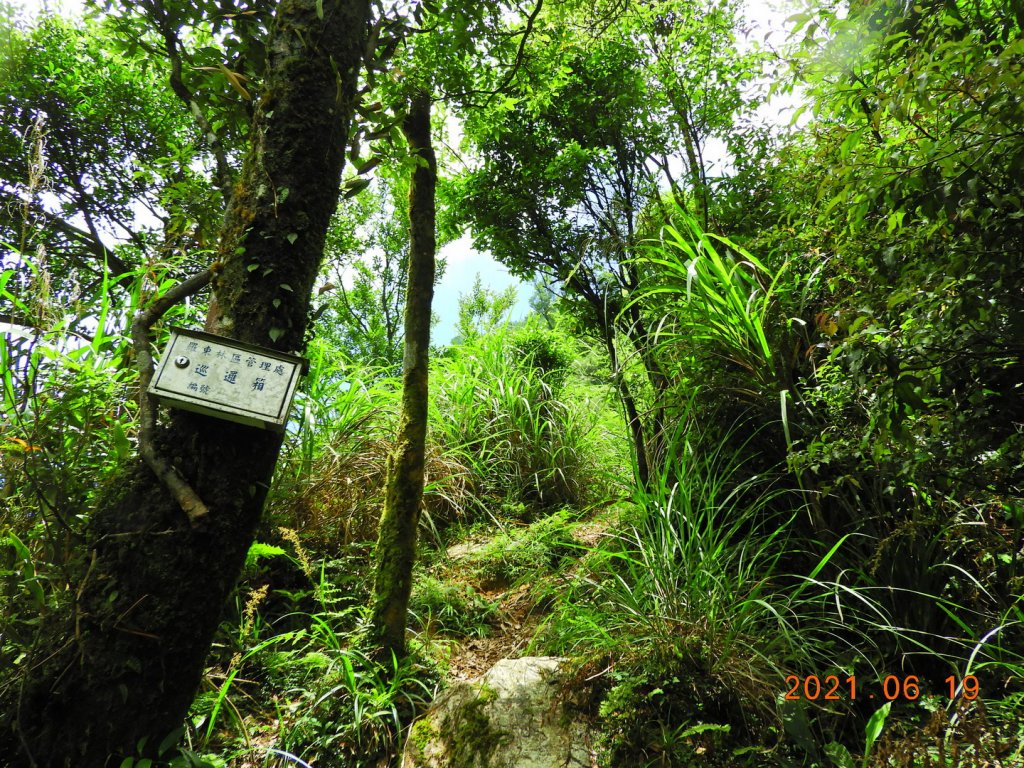 宜蘭 南澳 安平坑林道 - 蘭崁山_1417323