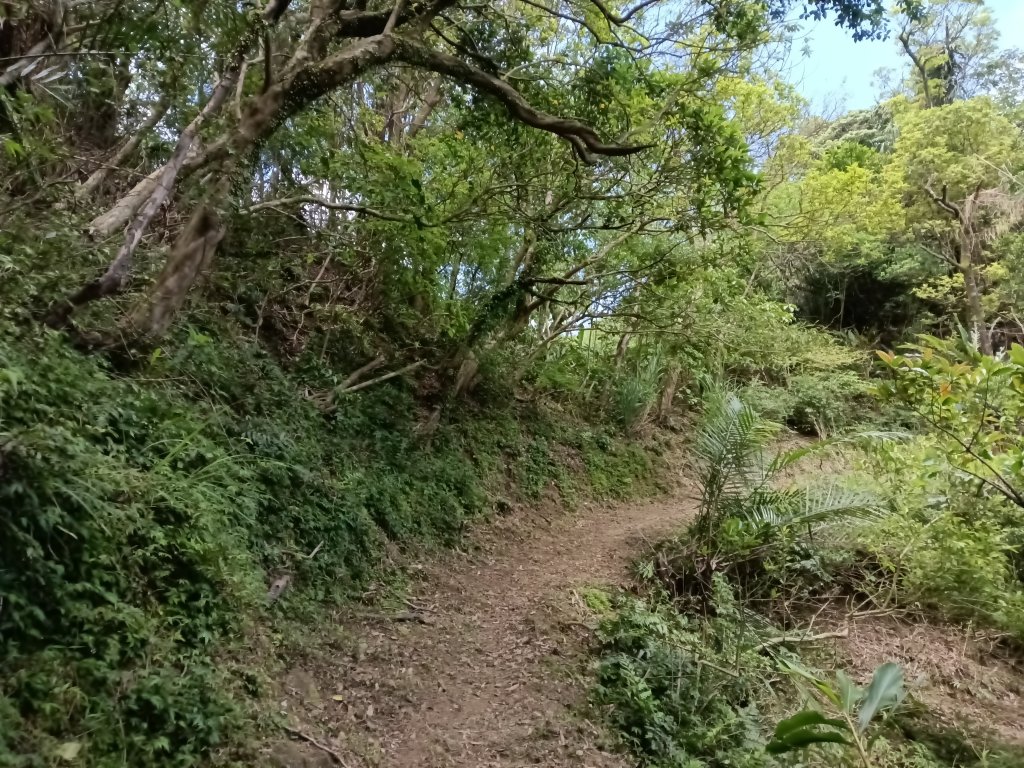 平溪區淡蘭山徑-平湖西步道+內平林山+東步道O型_2769969