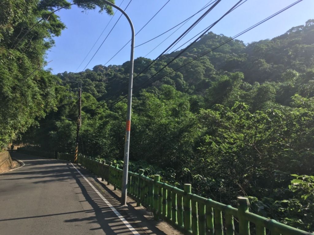邊緣系山女：山佳大棟青龍嶺迴龍封面圖