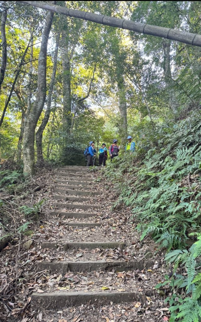 九穹神木 左訪嘉南雲峰 右到好望角看風景上石壁山(小百岳#55)_2944843