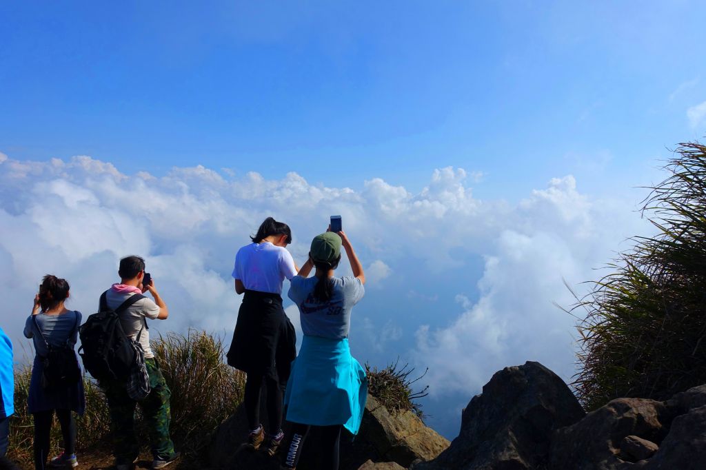 苗栗。加里山 大O型 2018.03.1_293784