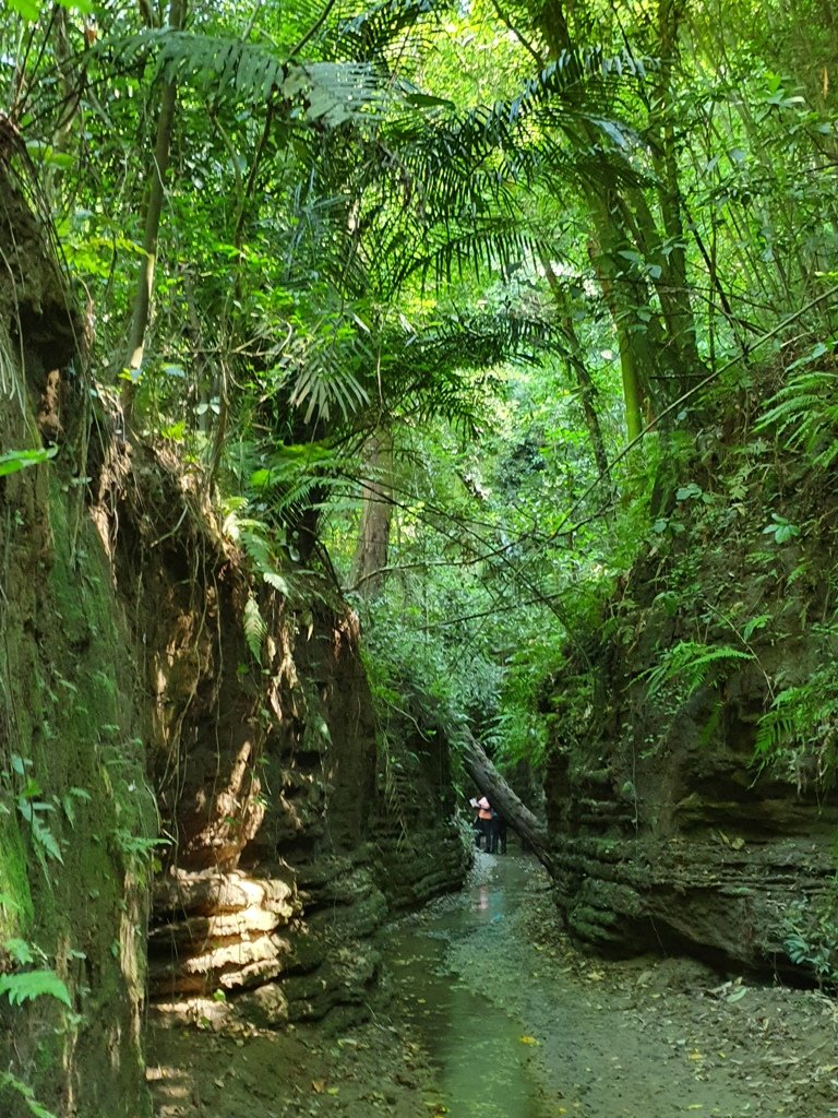 【苗栗】龍王峽谷秘境_1777840