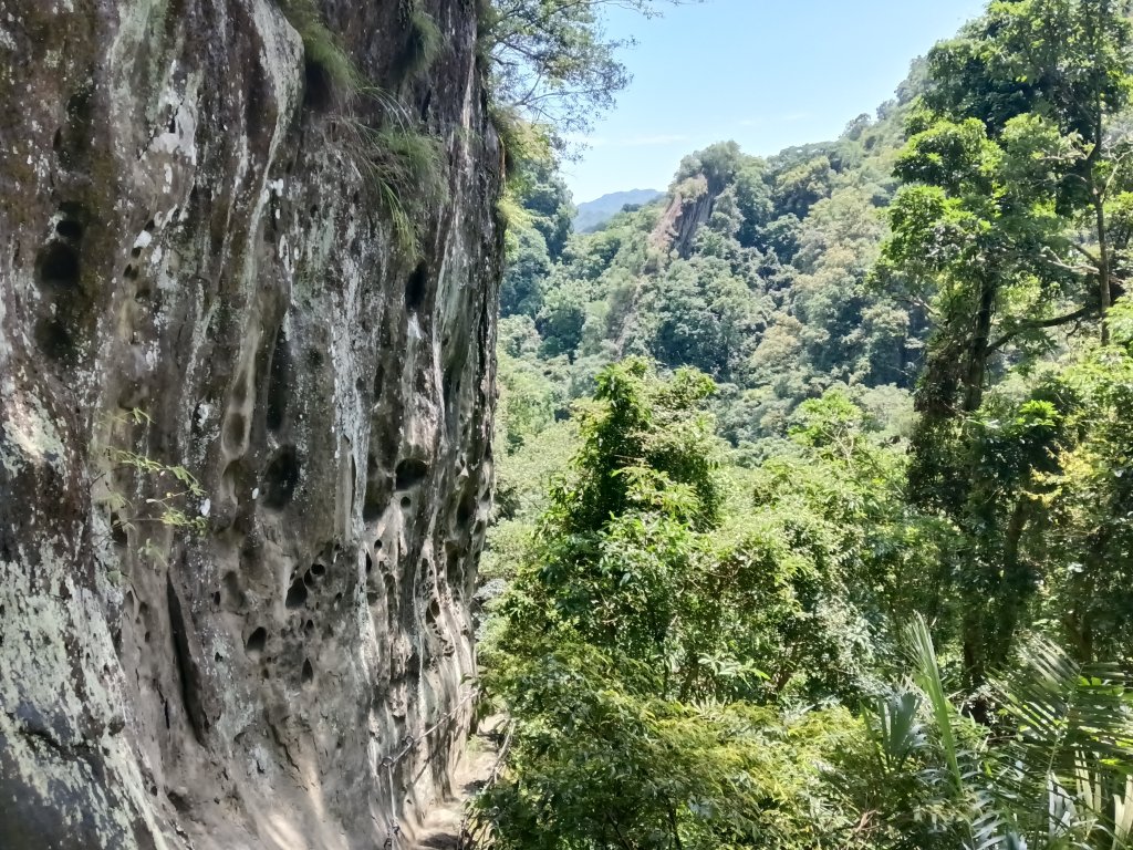 平溪區東勢格越嶺古道+孝子山步道(慈恩嶺+慈母峰)探花(艷紅鹿子百合)路線O型_2848662