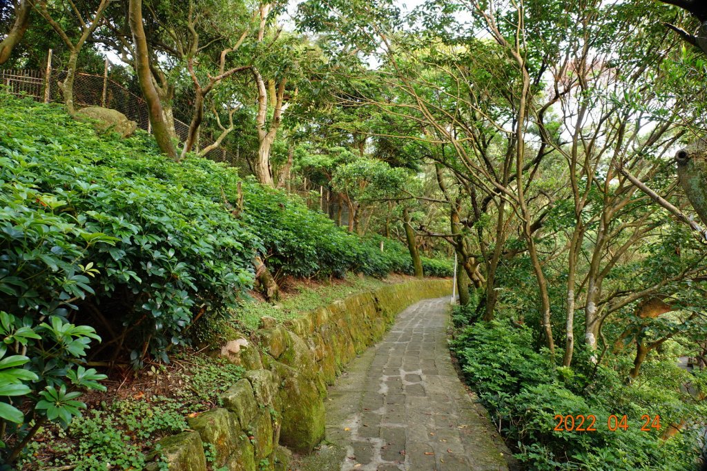 臺北 內湖 忠勇山_1686939