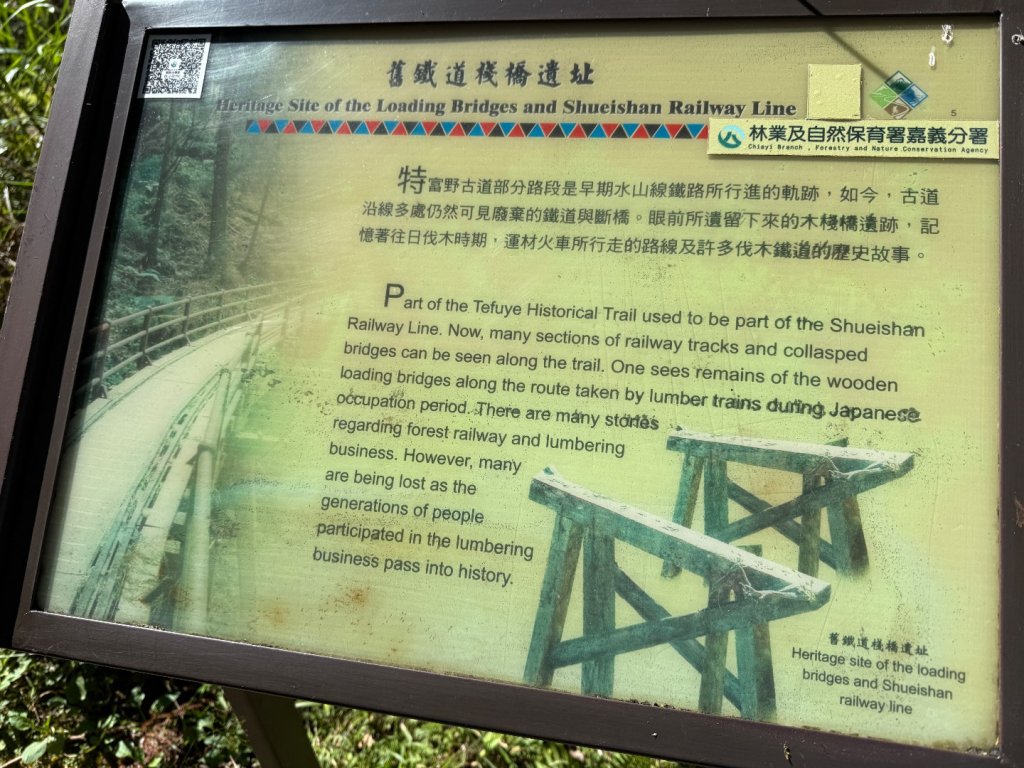 1141122特富野古道_2945840