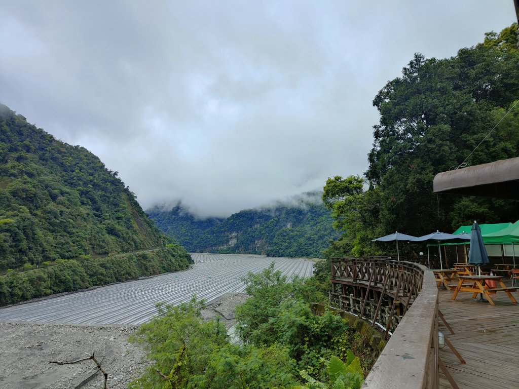 神木園步道_2371860