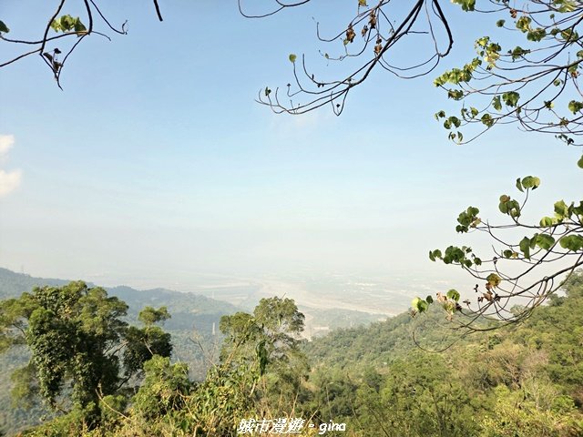 【屏東來義】小百岳棚集山x棚集下山O 繞_3013083