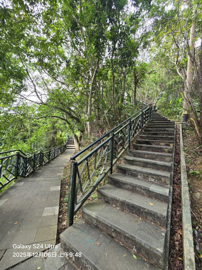 2025-12-06微笑山線：【二格山系】和美山螢火蟲段_2956817