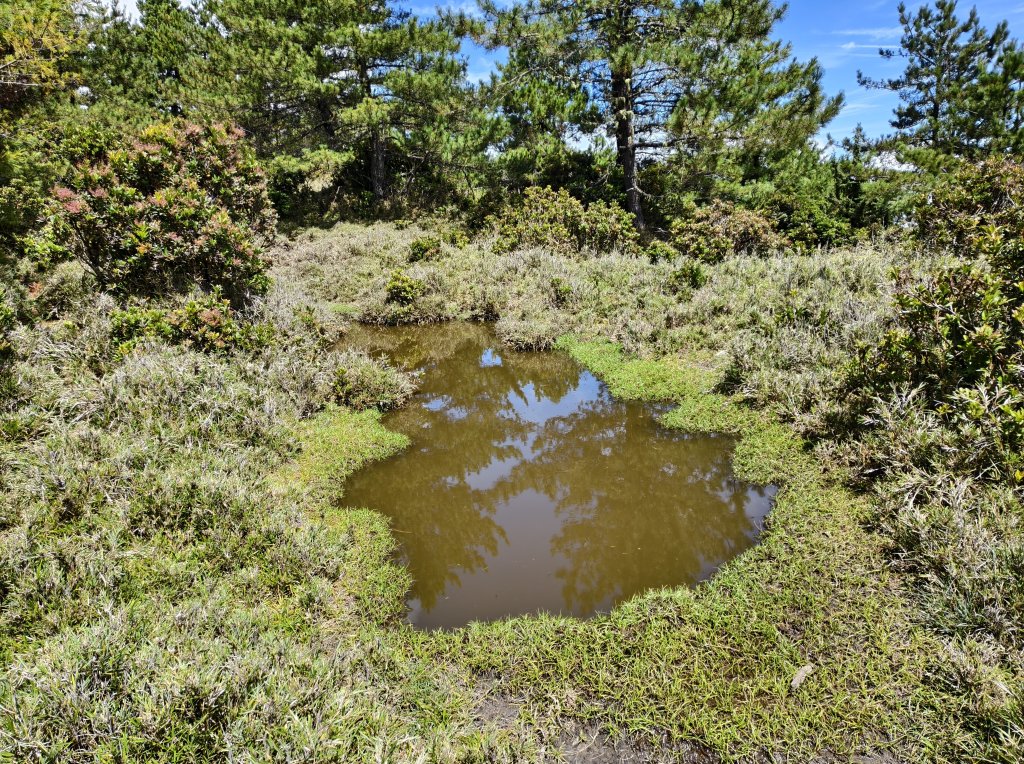 北一段(10/14)馬比杉山 2025_0906~13_2887131