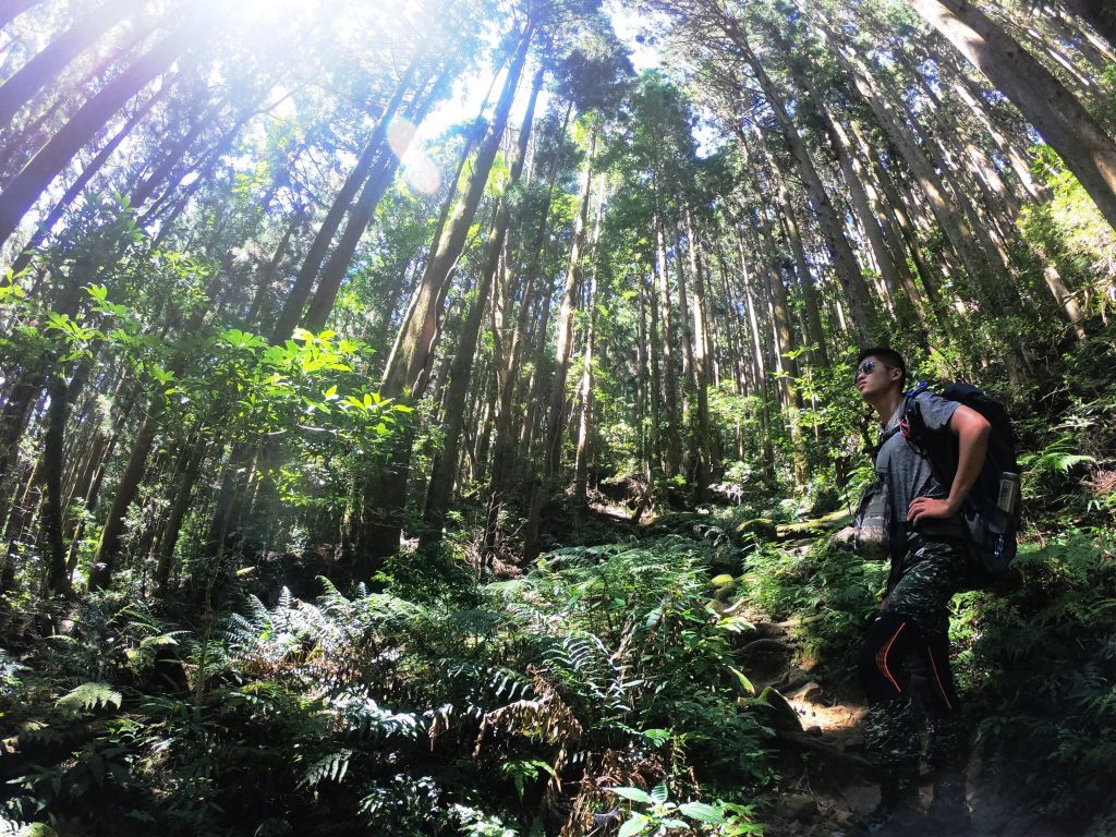 2018/8/11 加里山之旅_390403
