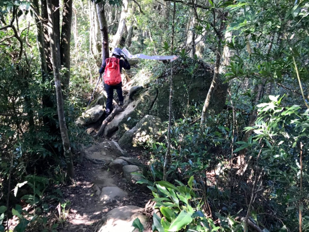 五寮尖上大風狂_448918