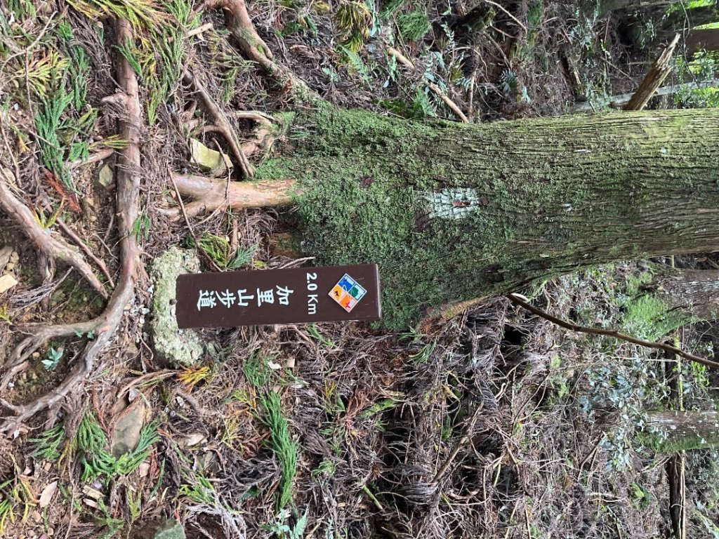 20220917_加里山（苗栗小百岳）_2762196