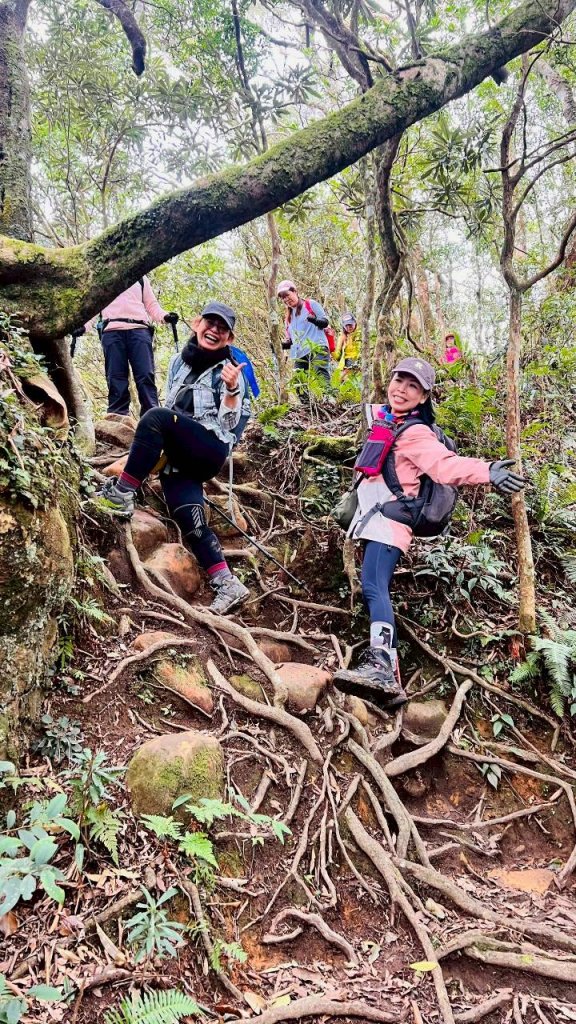 🌈12/28（日）北得拉曼神木+內鳥嘴山✨FB：熊熊趴爬走🌈_2971272