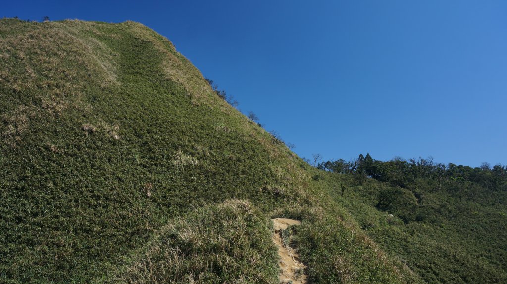 三角崙山 五峰旗瀑布連走_1261183