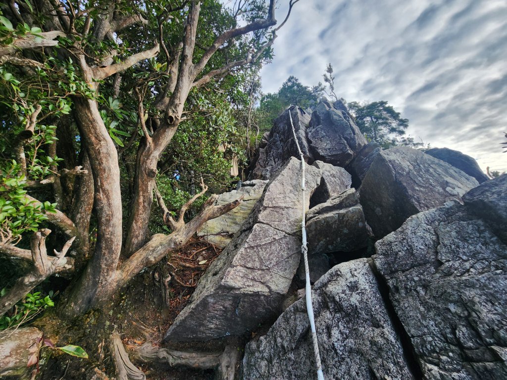 20250831鳶嘴稍來_2928607