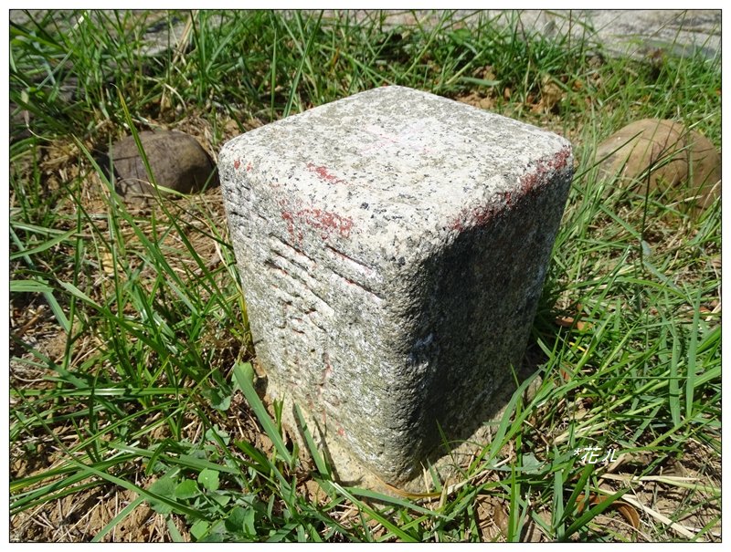 通霄/虎頭山步道_692033