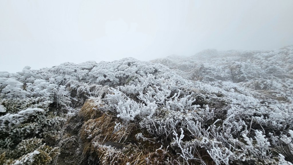 112.3.13～3.14 冰封奇萊主北_2074066