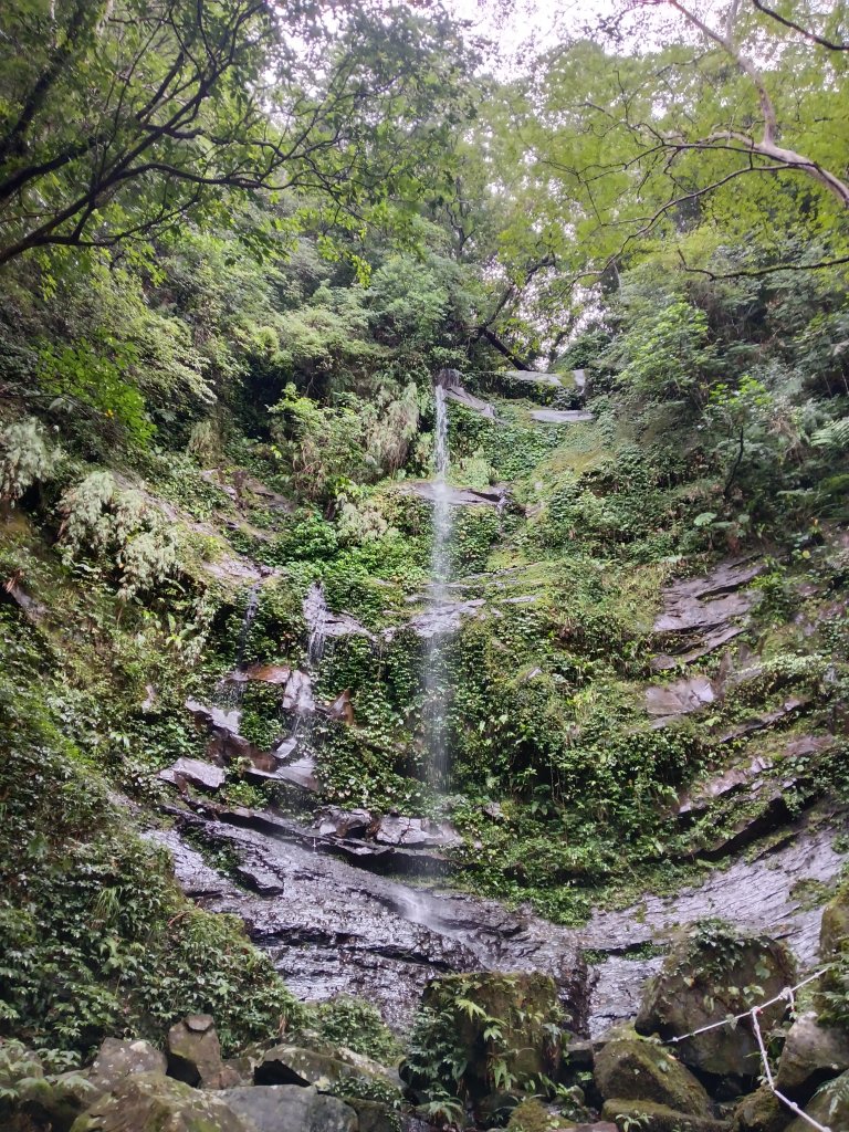 雙溪區中坑古道+大夯瀑布+中坑東山+中坑東山尾稜O型_2921538
