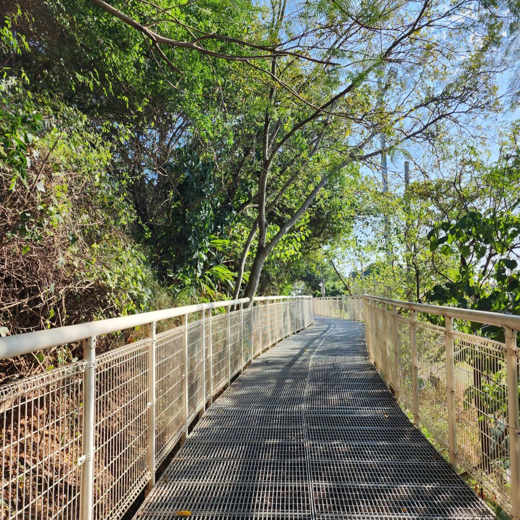 八卦山天空步道封面圖