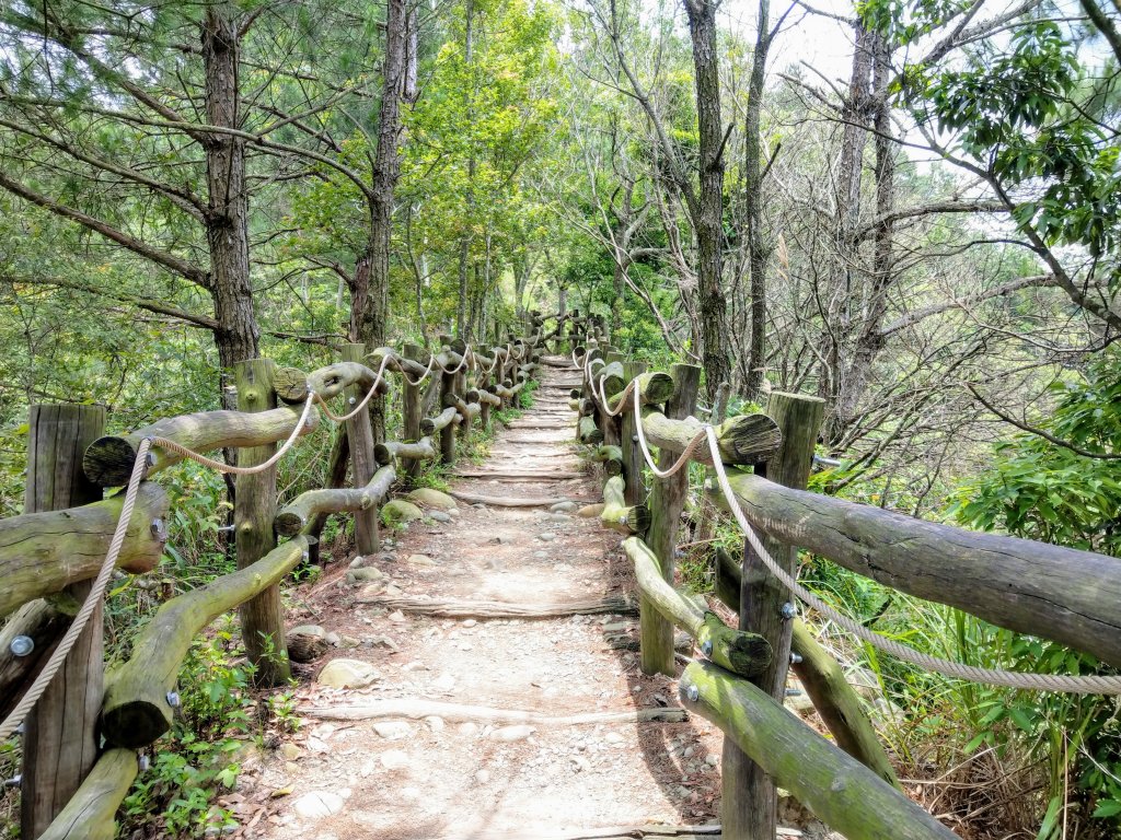 頭嵙山(小百岳#41)大坑4,5,1步道_1003682