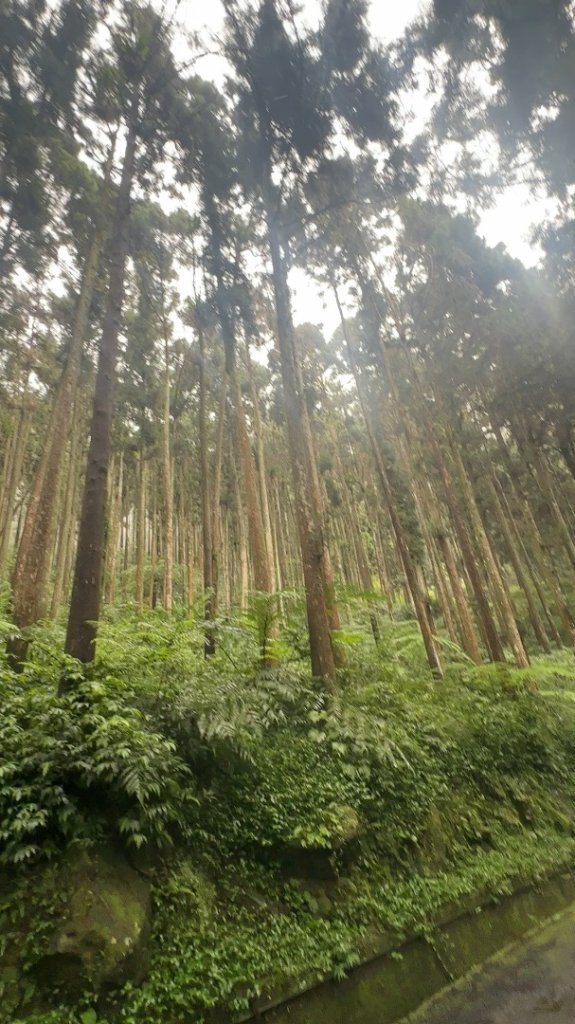 053鳳凰山_2605977