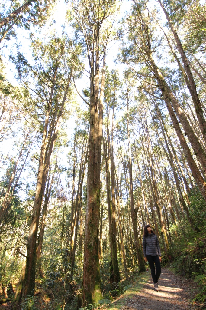 秋末稍來山_57825