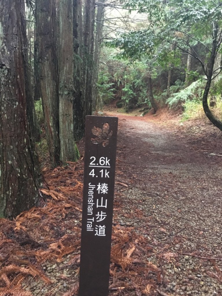 2022/03/07觀霧之美櫻王櫻后櫻妃亮麗登場_1635512