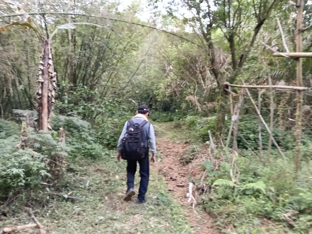 基隆市三層山+湳子大崙+淡基橫斷古道+面桶寮土地公_2982226