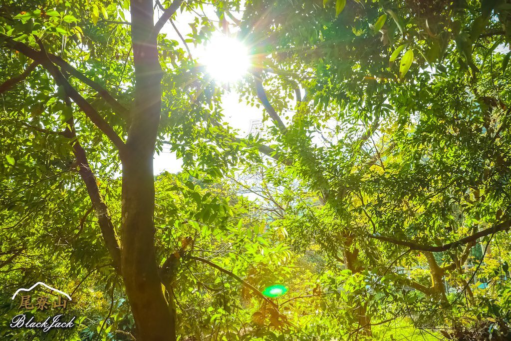 學霸同行尾寮山_295215