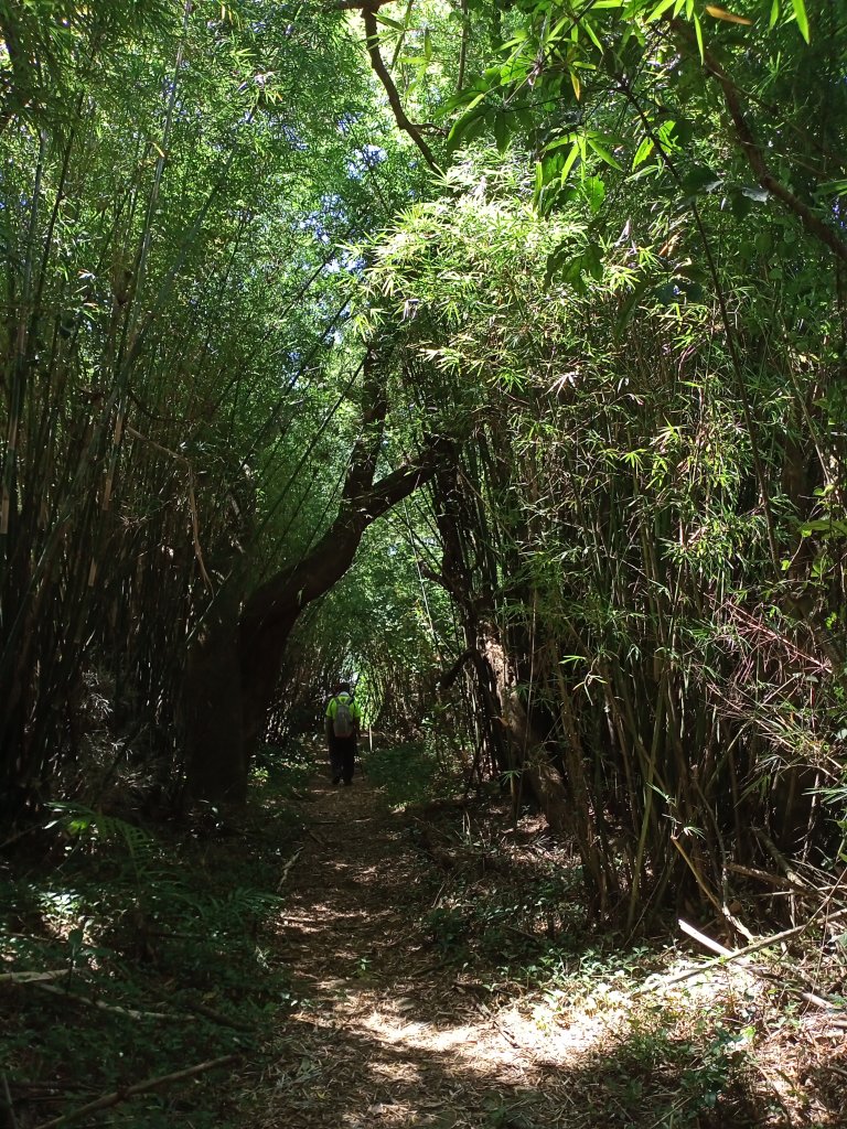 【臺北大縱走 1】(2-1) 二子坪遊客服務站→下青礐步道_1486261