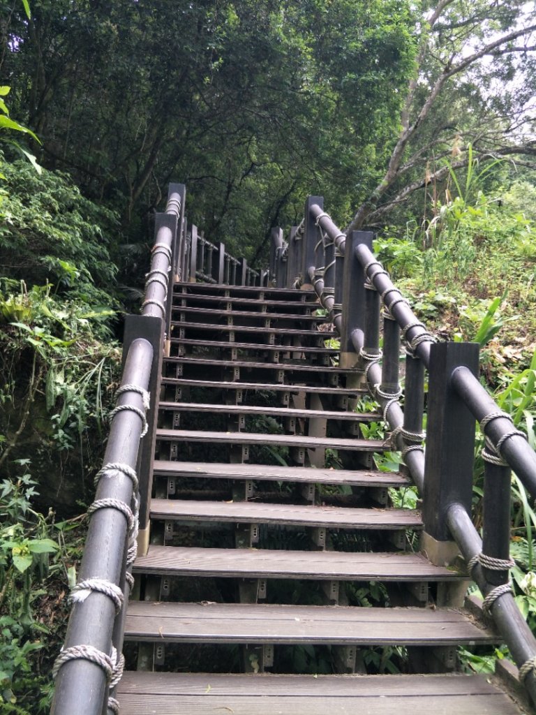 篷萊護魚步道_1431951