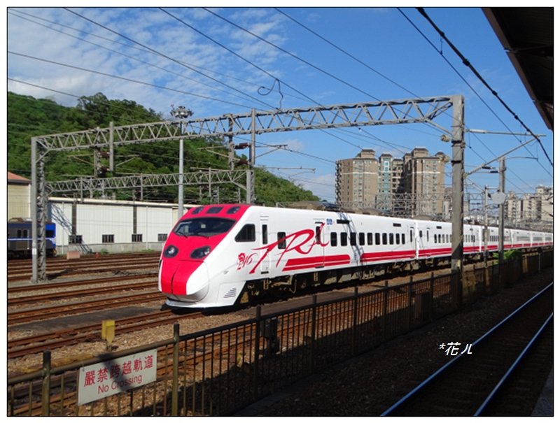 大棟山/芒花(小百岳)_752417