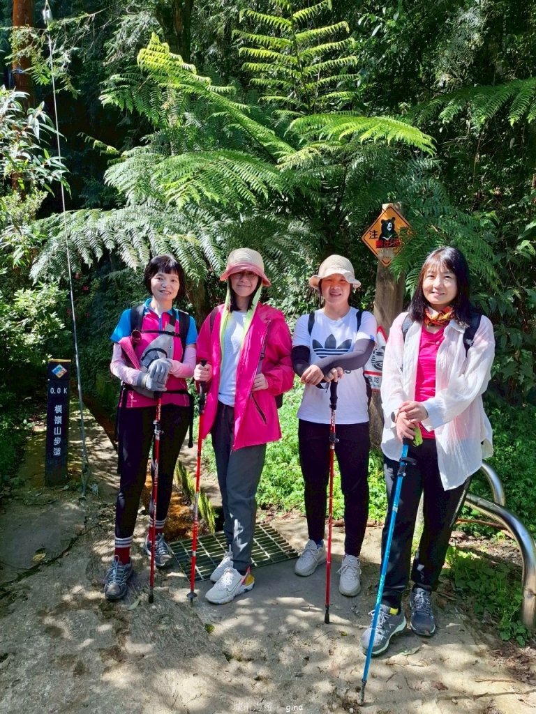 【台中和平】筆直的杉林.林相優美。 橫嶺山x沙連山P型_2869015