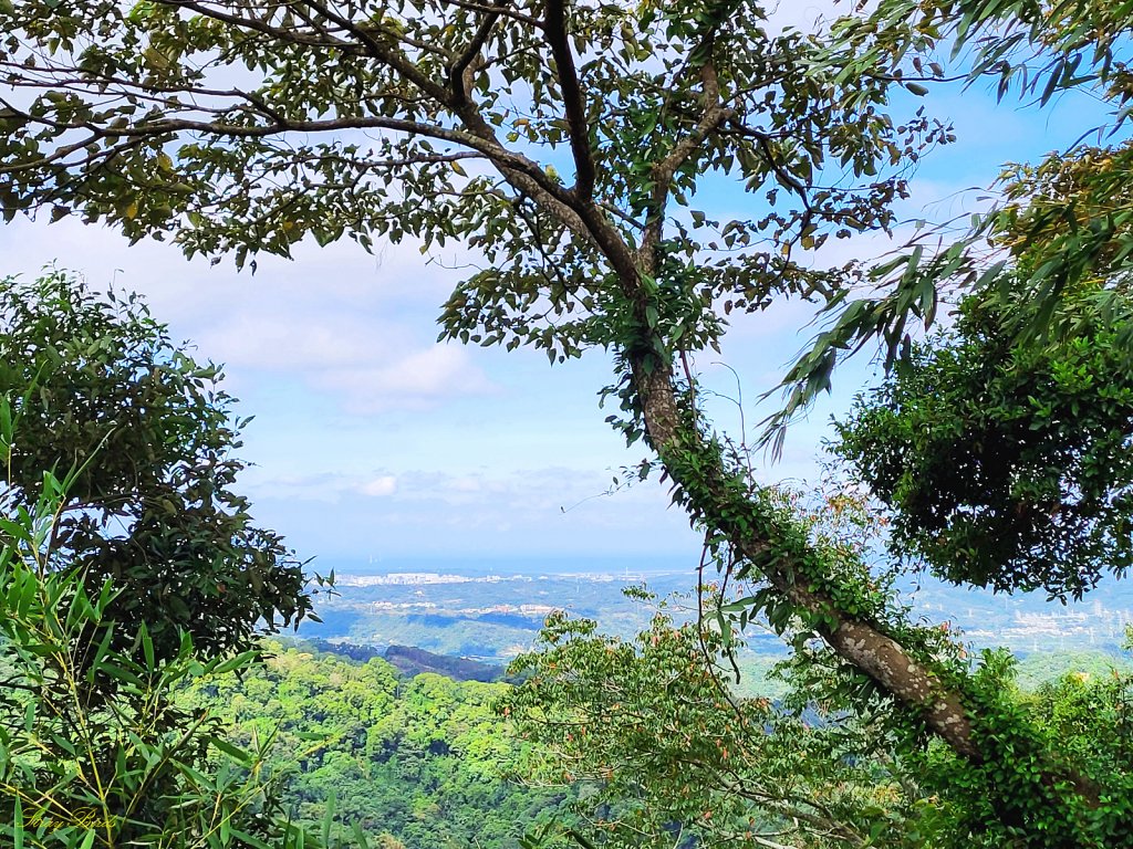 【樟之細路】獅猿縱走_1902122