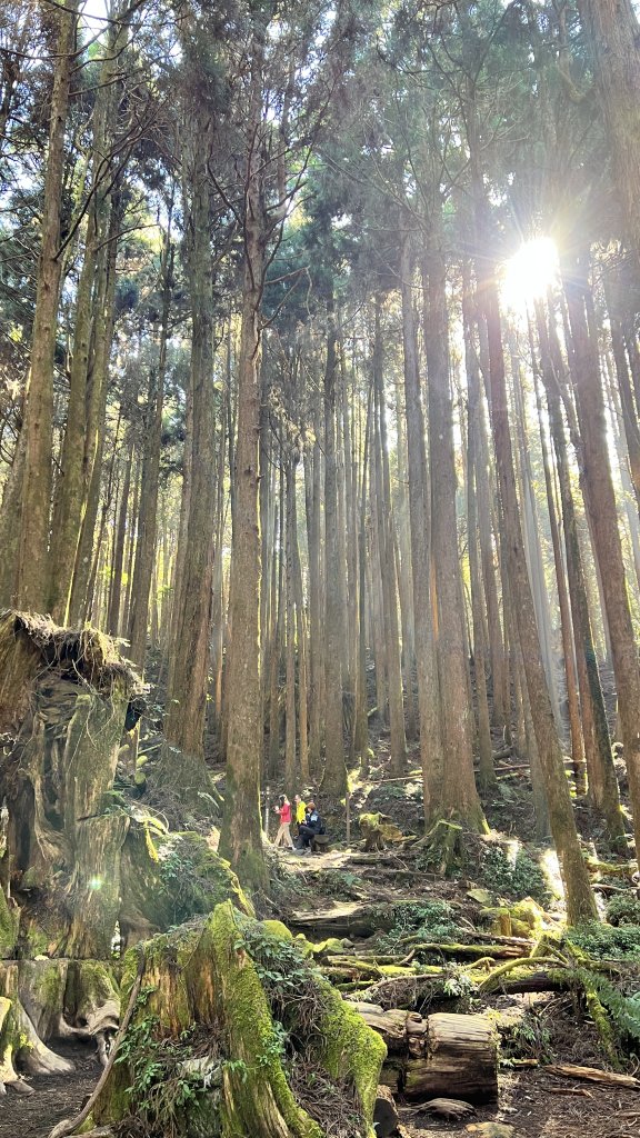 2024.12.29 特富野古道_2720703