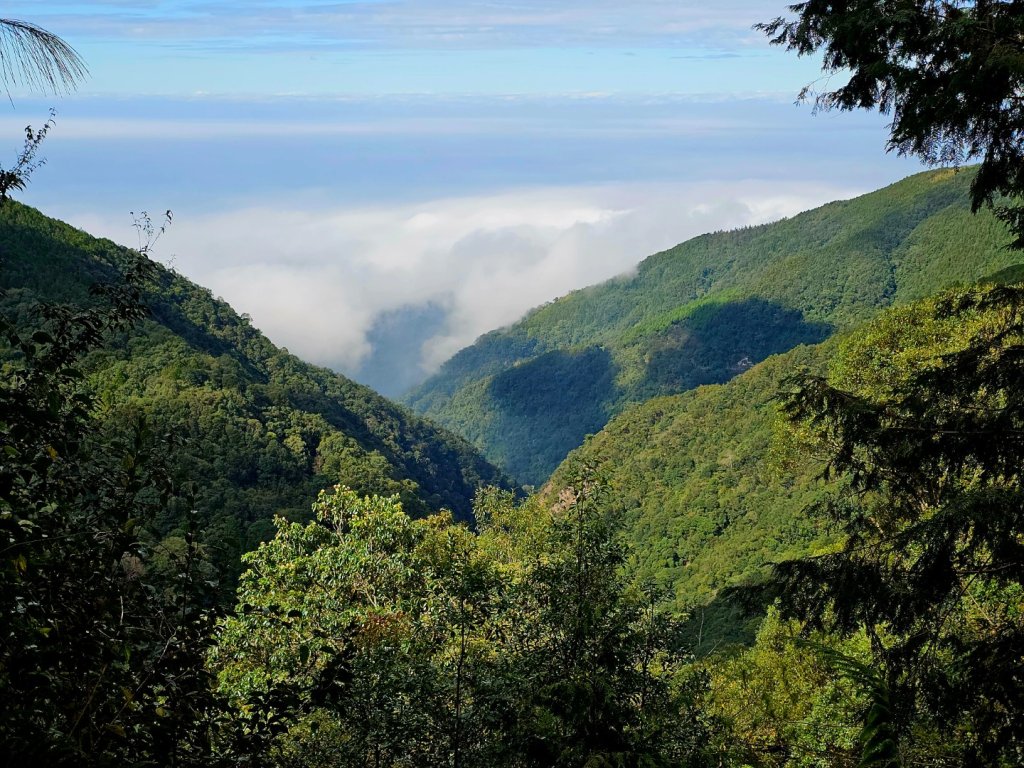 橫嶺山步道 - 2024年最有意思的山_2653705