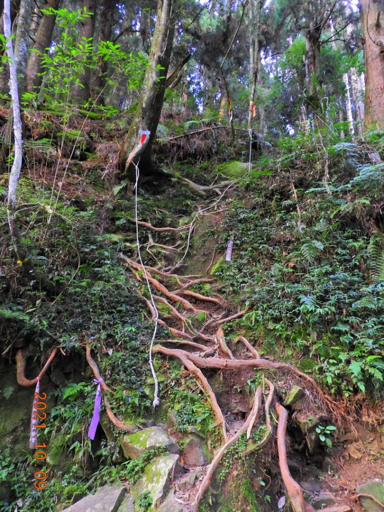嘉義 阿里山 兒玉山、東水山、北霞山_1486696