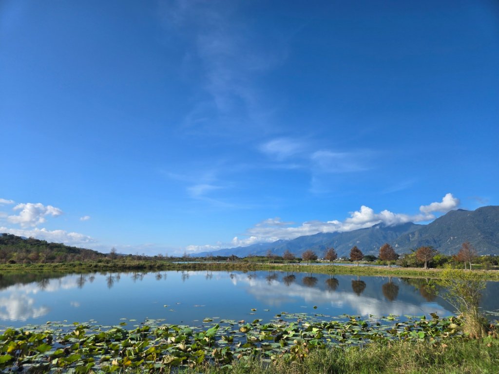 大坡池環潭步道_2999848