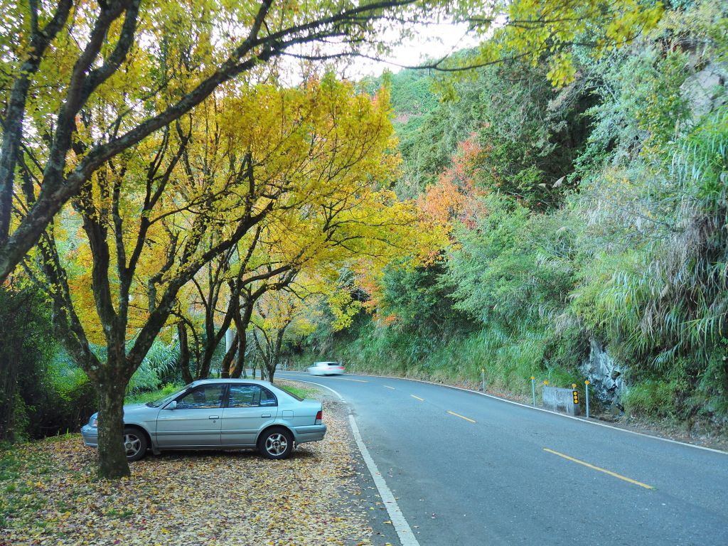 特富野O型 兒玉山東水山_229809