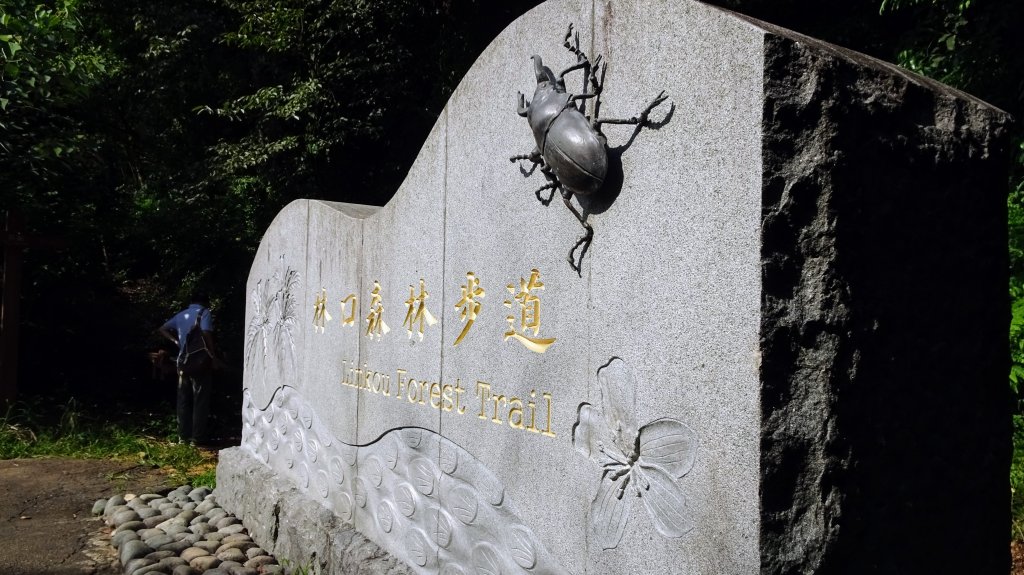 頂福巖森林步道(林口森林步道)_2283335