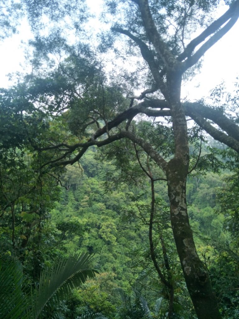 獅山古道_1777642