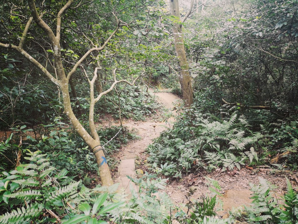 我從福人步道走去大北坑吃好料_818692