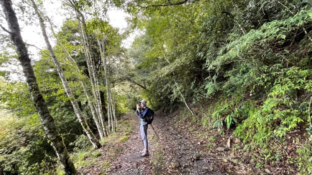 1100812船型山林道3k.稍來山_1441455