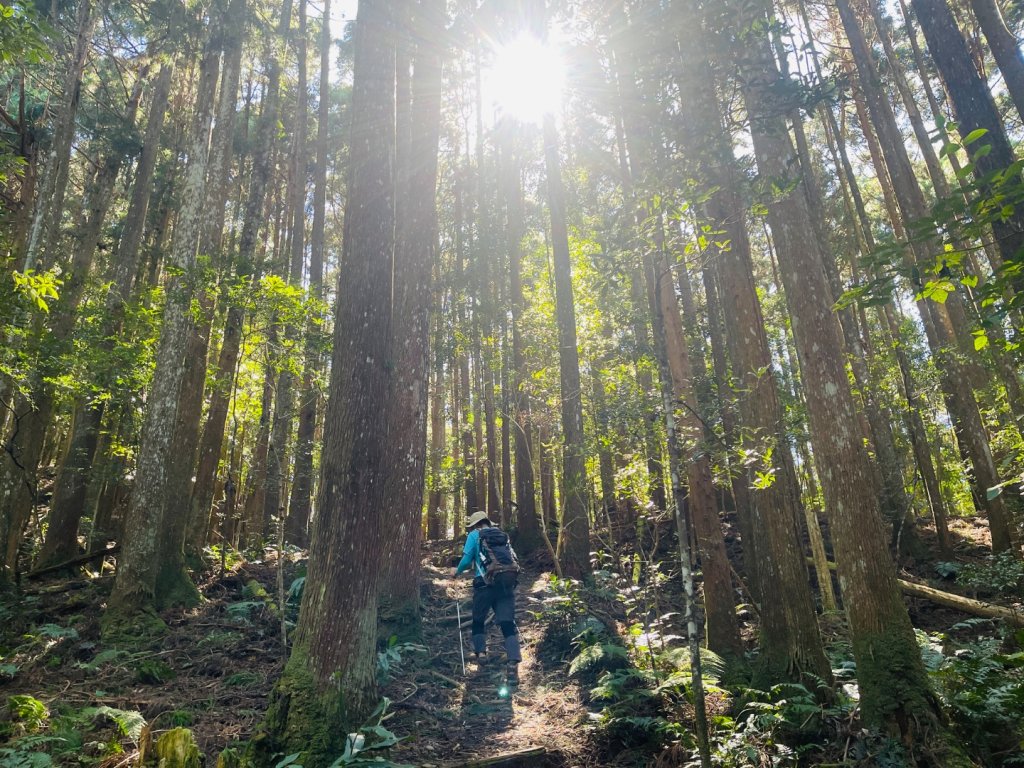 1141116油羅山_2946430