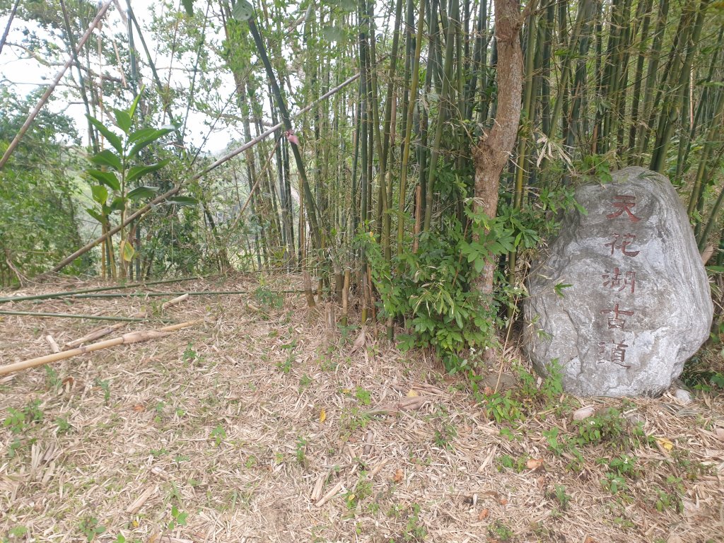 20230124網弦山(苗栗後龍)、友應山(苗栗頭屋)、北坑山(苗栗三灣)封面圖