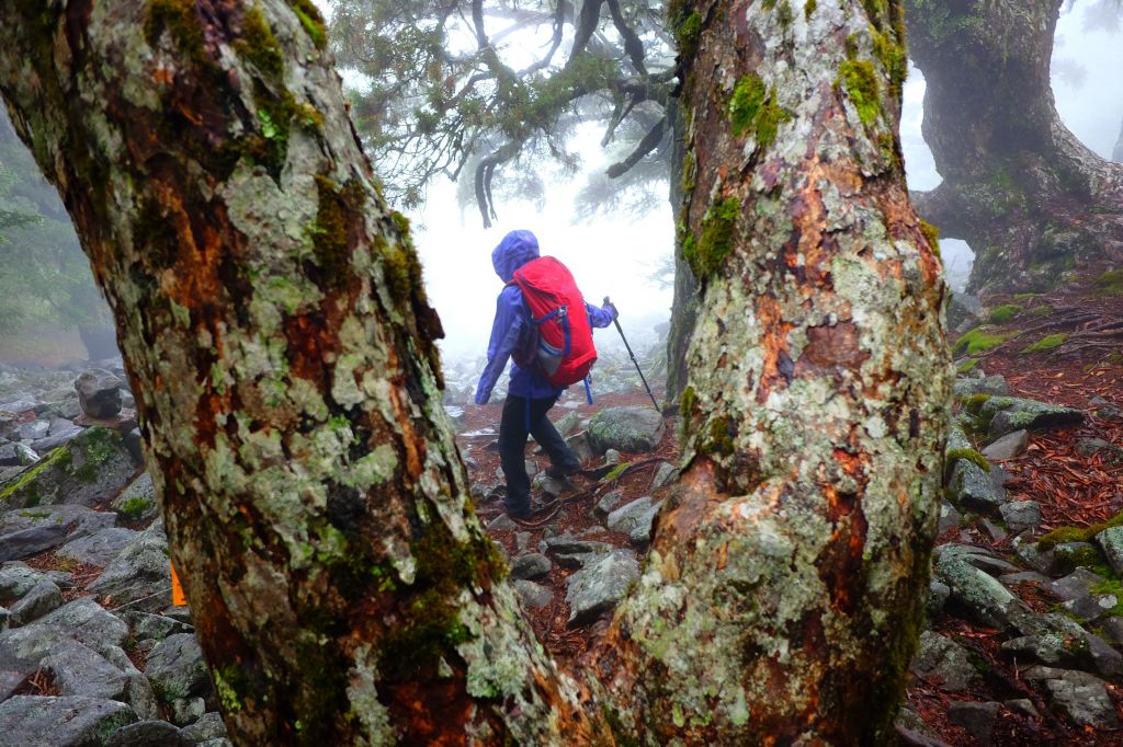 迷霧飄逸池有山_392076