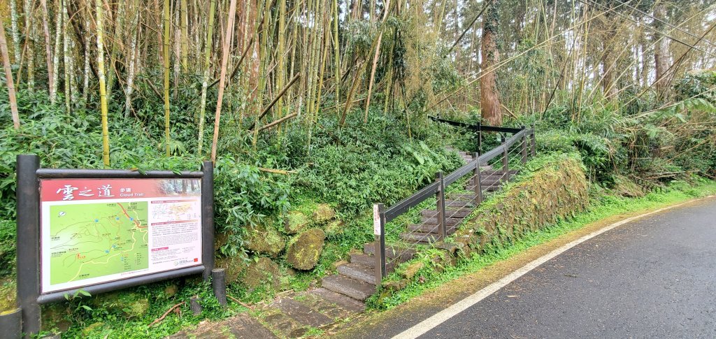 2025-01-18頂石棹步道群_2694185