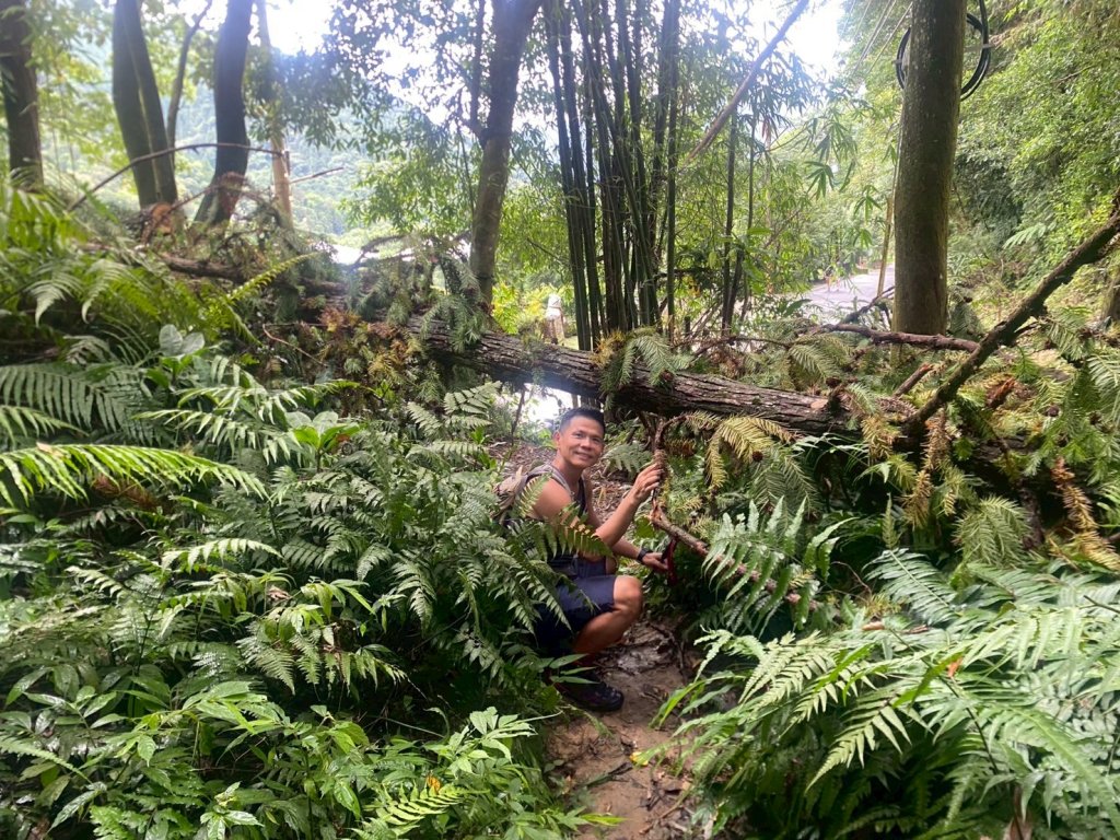 新竹橫山.大崎棟古道.騎龍古道【二個古道走向二個截然不同的方向】_2868734