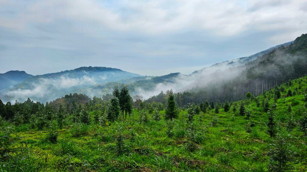 112.04.08 油羅山_2123542